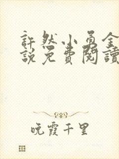 许然小勇金贵小说免费阅读