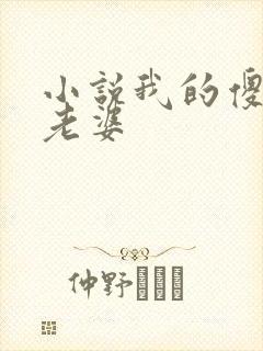 小说我的傻白甜老婆封面