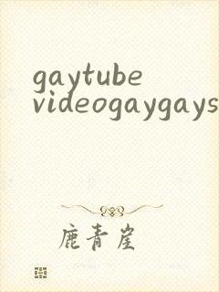 gaytubevideogaygaysex