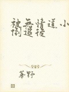 被无情道小师弟倒追后