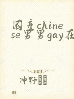 国产chinese男男gay在线播放video