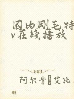 国内刚毛特黄av在线播放