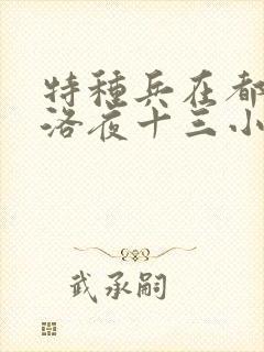 特种兵在都市杨洛夜十三小说封面