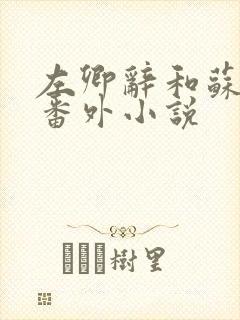 左卿辞和苏云落番外小说