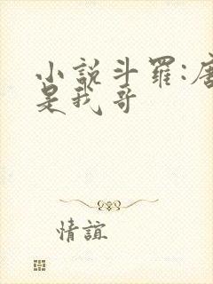 小说斗罗:唐三是我哥