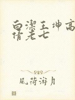 白洁王坤高义孙倩老七
