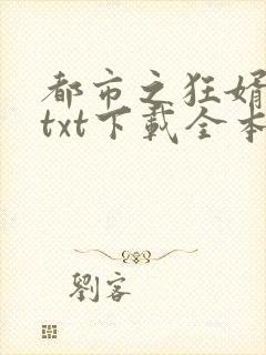 都市之狂婿战神txt下载全本