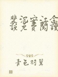 裴沉安江念意小说免费阅读最新章节