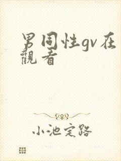 男同性gv在线观看封面