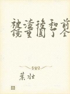 被渣后和前夫破镜重圆了全文免费阅读