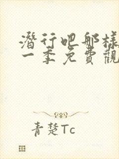 潜行吧那样子第一季免费观看全集高清