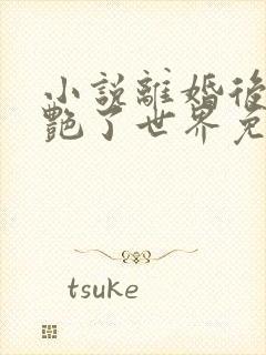 小说离婚后她惊艳了世界免费阅读