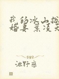 我的冰山总裁未婚妻 叶凌天