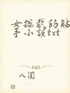 女总裁的贴身高手小说txt