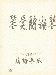 楚辰的小说免费全文阅读全文