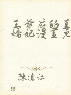 王爷府的直男小娇妃漫画免费