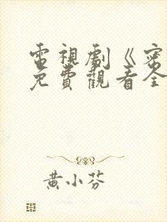 电视剧《密战》免费观看全集