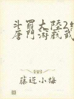 斗罗大陆2绝世唐门游戏武魂封面