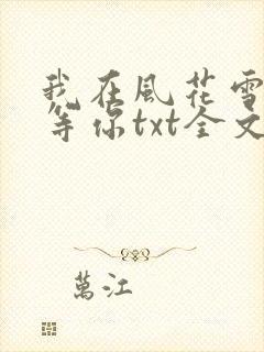 我在风花雪月里等你txt全文下载
