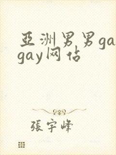 亚洲男男gaygay网站封面