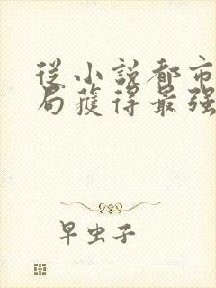 从小说都市:开局获得最强吹牛系统小说封面