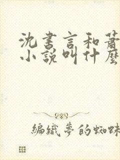 沈书言和萧淮的小说叫什么名字啊