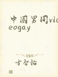 中国男同videogay