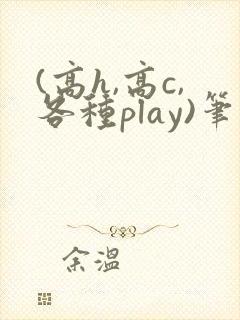 (高h,高c,各种play)笔趣阁