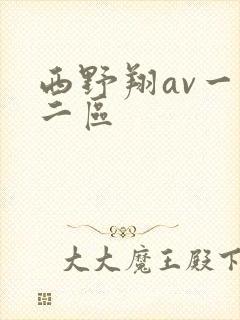 西野翔av一区二区封面