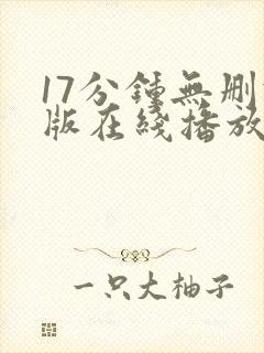 17分钟无删减版在线播放