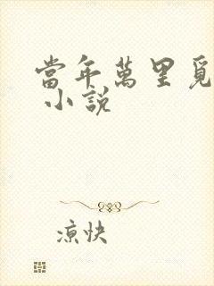 当年万里觅封侯 小说封面