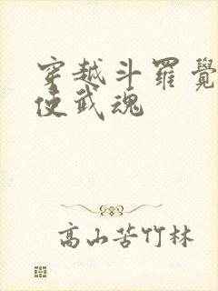 穿越斗罗觉醒天使武魂