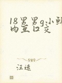 18男男g小鲜肉互囗交