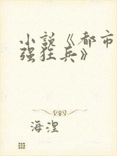 小说《都市之最强狂兵》封面