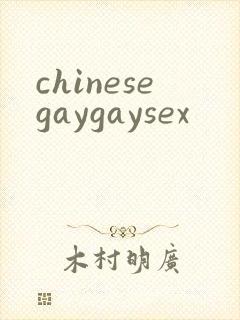 chinesegaygaysex封面