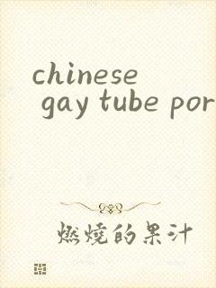 chinese gay tube porn