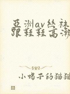 亚洲av丝袜高跟鞋鞋高潮封面