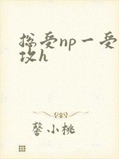 总受np一受多攻h