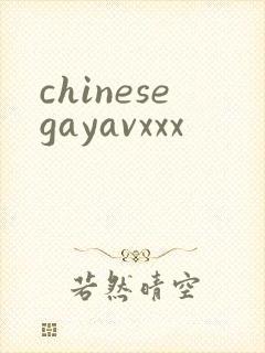 chinesegayavxxx