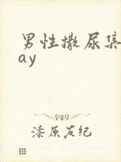 男性撒尿集合gay