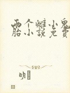 两个雌小鬼双胞胎小说免费阅读封面