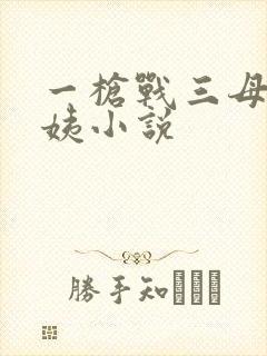 一枪战三母2雪姨小说