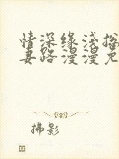 情深缘浅总裁追妻路漫漫免费阅读