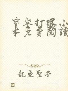 宝鉴打眼小说全本免费阅读