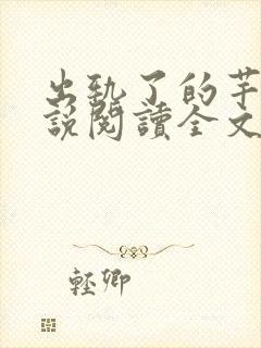 出轨了的芊芊小说阅读全文