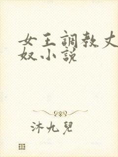 女王调教丈夫为奴小说