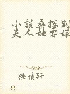 小说桑总别虐,夫人她要嫁人了全文封面