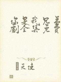 你是我兄弟电视剧全集免费观看高清封面