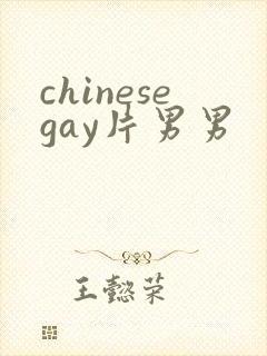 chinesegay片男男