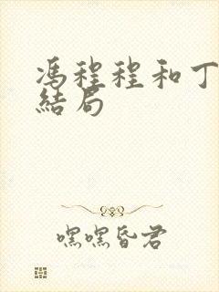 冯程程和丁力的结局